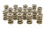 Pac Racing Springs PAC-1353 Valve Spring, 1300 Series, Triple Spring, 900 lb/in Spring Rate, 1.140 in Coil Bind, 1.695 in OD, Set of 16 Pac Racing Springs PAC-1353 Valve Spring, 1300 Series, Triple Spring, 900 lb/in Spring Rate, 1.140 in Coil Bind, 1.695 in OD, Set of 16