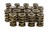 Isky Cams 9915 Valve Spring, Tool Room, Dual Spring / Damper, 500 lb/in Spring Rate, 1.175 in Coil Bind, 1.560 in OD, Set of 16