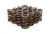 Isky Cams 9935 Valve Spring, Tool Room, Dual Spring, 490 lb/in Spring Rate, 1.150 in Coil Bind, 1.560 in OD, Set of 16