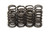 Isky Cams SP116 Valve Spring, Inner, 320 lb/in Spring Rate, 0.720 in Coil Bind, 0.815 in OD, Set of 8