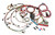 Painless Wiring 60217 EFI Wiring Harness, GM LS-Series 1999-2006, Kit