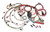 Painless Wiring 60218 EFI Wiring Harness, Extra Length, GM LS-Series 2003-06, Kit
