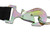 Macs Custom Tie-Downs 121108 Ratchet Tie Down, 2 in Wide, 8 ft Long, 10000 lb Capacity, Flat Snap Hook, Polyester, Black, Each