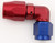 XRP-Xtreme Racing Prod. 209108 Fitting, Hose End, 90 Degree, Low Profile, 8 AN Hose to 8 AN Female, Double Swivel, Aluminum, Blue / Red Anodized, Each