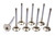 Ferrea F1097P-8 Exhaust Valve, Competition Plus, 1.600 in Head, 11/32 in Valve Stem, 5.010 in Long, Stainless, Various Applications, Set of 8