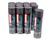 Motul USA 108093 Exterior Protectant, E10 Shine and Go, 13 oz Aerosol Spray, Set of 12
