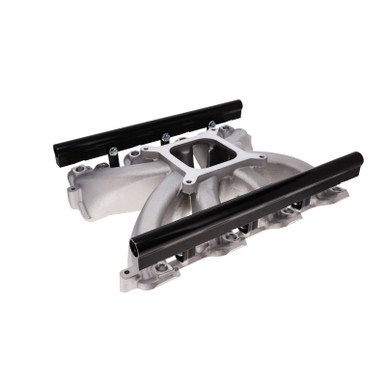 TSP 81137 LS1/LS2/LS6 Cathedral Port EFI Intake Manifold, Single