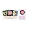MP Bach Flower Essence Cards 39 pack