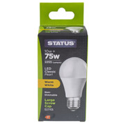 ES | Edison Screw 10w Warm White LED Lamp
