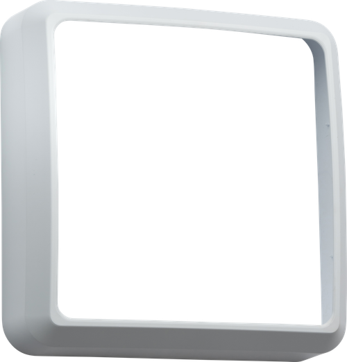 Tenax Quad White Bezel