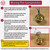 BC | B22 | Bayonet Cap Old English Pendant Lampholder with Cord Grip