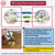 SES | E14 | Small Edison Screw White Zinc Threaded Lampholder with 10mm Entry