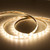 Professional SMD Series 4.8W/m 24V LED Strip Light Warm White IP62 5M Roll