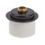 Rubber Bung 30-34mm with 10mm Thread