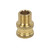 Decorative Brass Coupler | Female M10 x Male M10 Thread