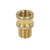 Decorative Brass Coupler | Female M10 x Male M10 Thread