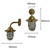 Quinn Guard Wall Lantern (Raw Brass)