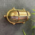 Palaemon North Bulkhead (Raw Brass)