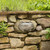 Horatio Junior Bulkhead (Satin Nickel)