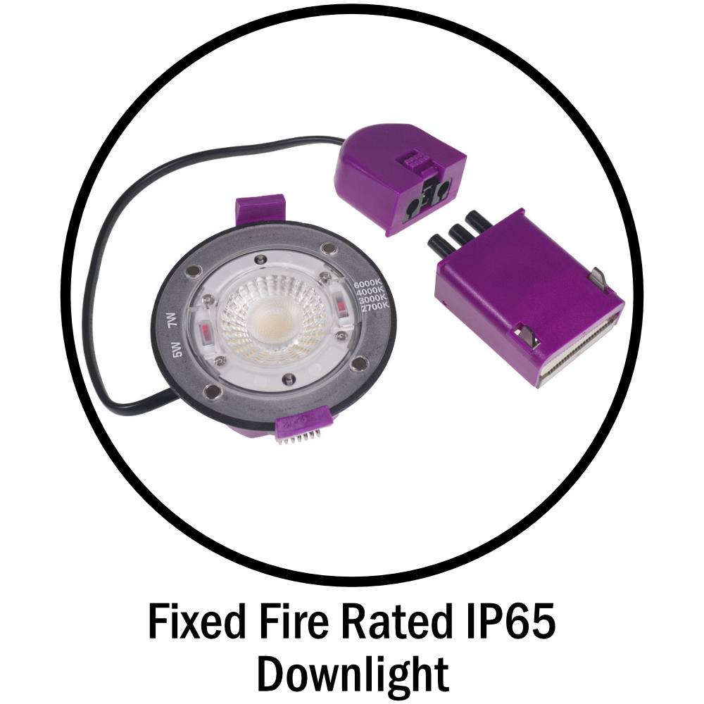 IP65 Downlight