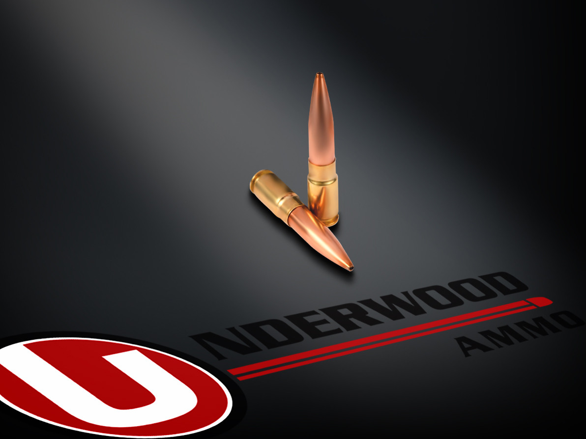 8.6 Blackout 300gr. Hollow Point Boat Tail Ammo