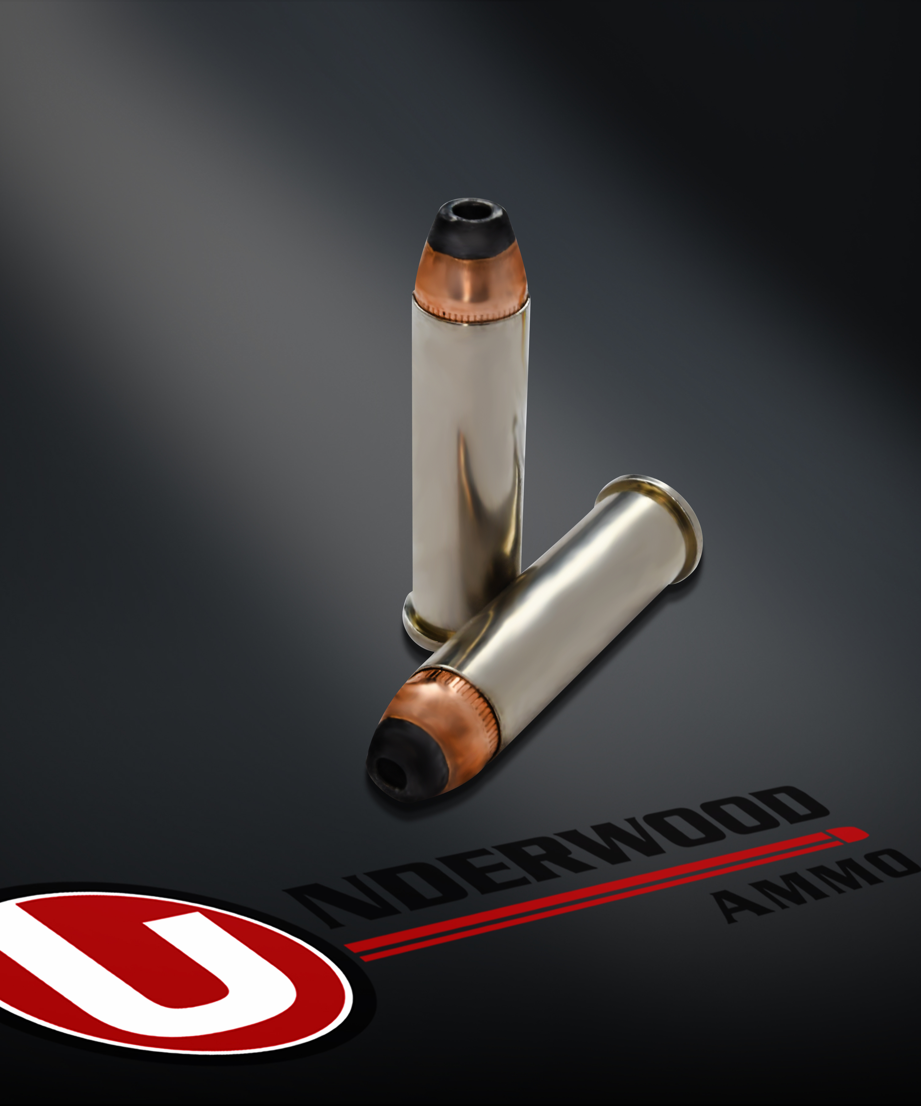All About Hollow Point Bullets