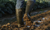 CSA Rubber Boots