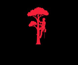 Arborist Gear