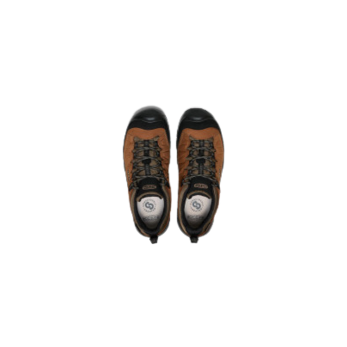 M Targhee IV WP Shoe - Bison/Black