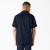 DN - Dark Navy