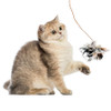 Cheetah Feather & Rope Cat Toy