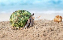 Create a Stunning BigCommerce Website Create a Stunning BigCommerce Website