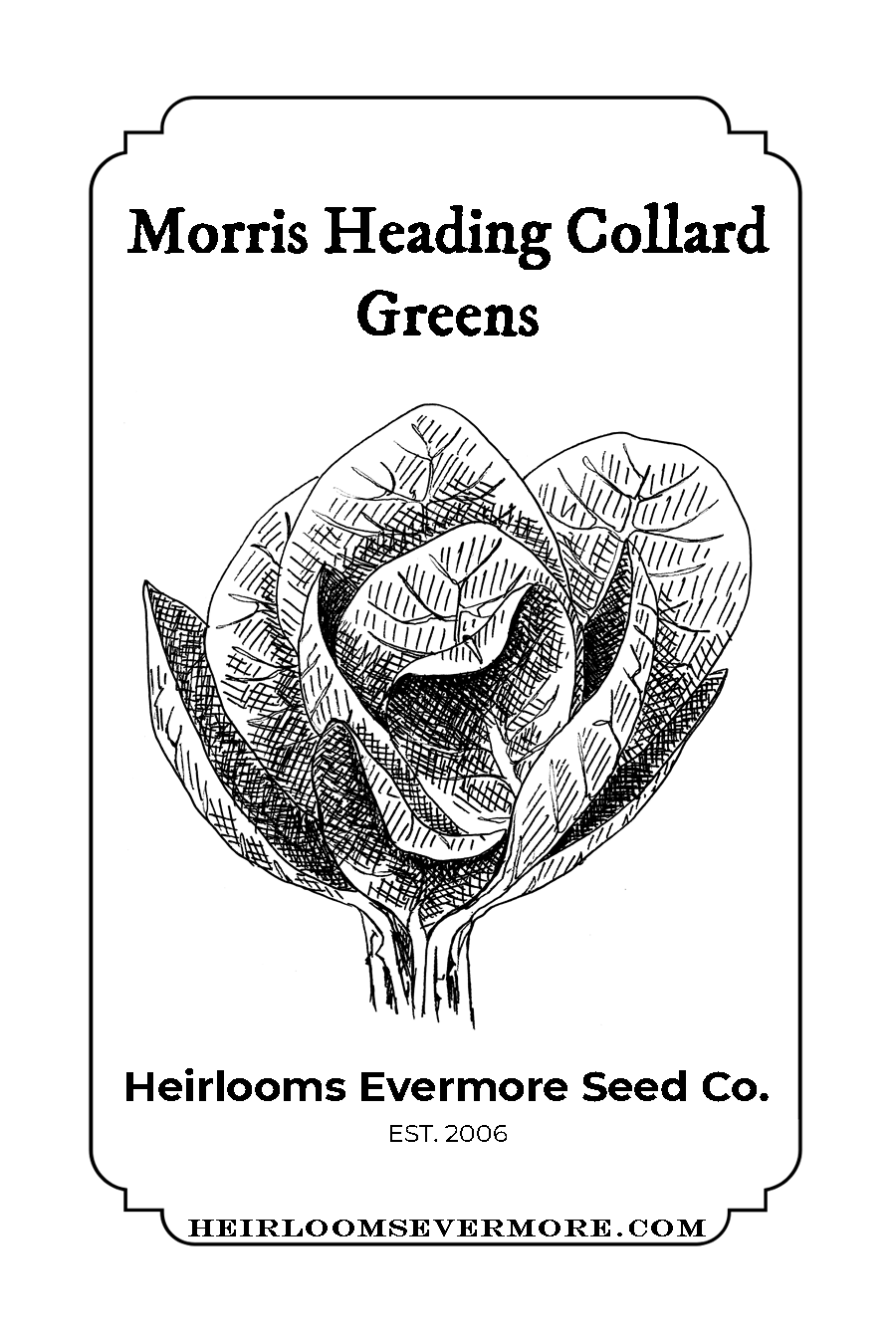 Morris Heading Collard Greens Heirlooms Evermore Seed Co.