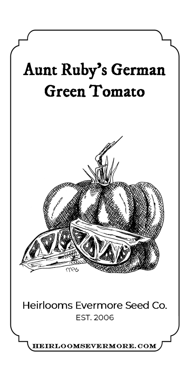Aunt Ruby S German Green Tomato Heirlooms Evermore Seed Co