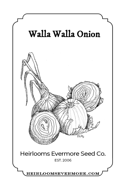 Walla Walla Onion