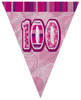 GLITZ PINK 100th FLAG BANNER 3.65m (12') Code 55374