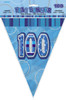 GLITZ BLUE 100th FLAG BANNER 3.65m (12') Code 55376