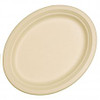ECO SUGARCANE OVAL PLATES 325 X 260MM NATURAL PACK 10
