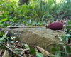 Standard Crossbow Bolt