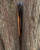 Fae Needle