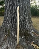 Fae Needle