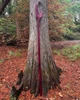 Fae Seam Ripper