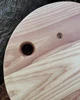 Fae Button Shield