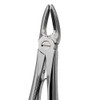Extraction Forceps