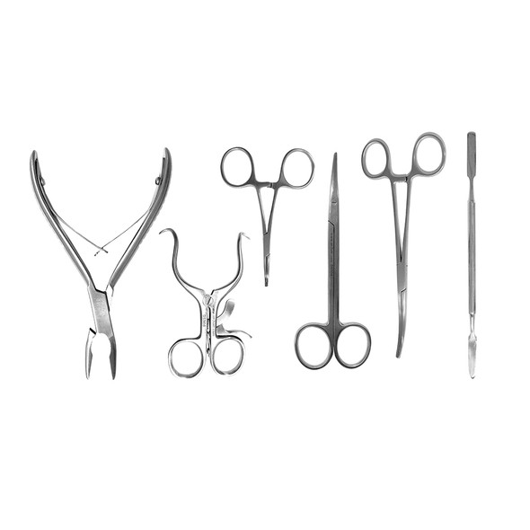 6pc Dental Surgical Instrument Set
