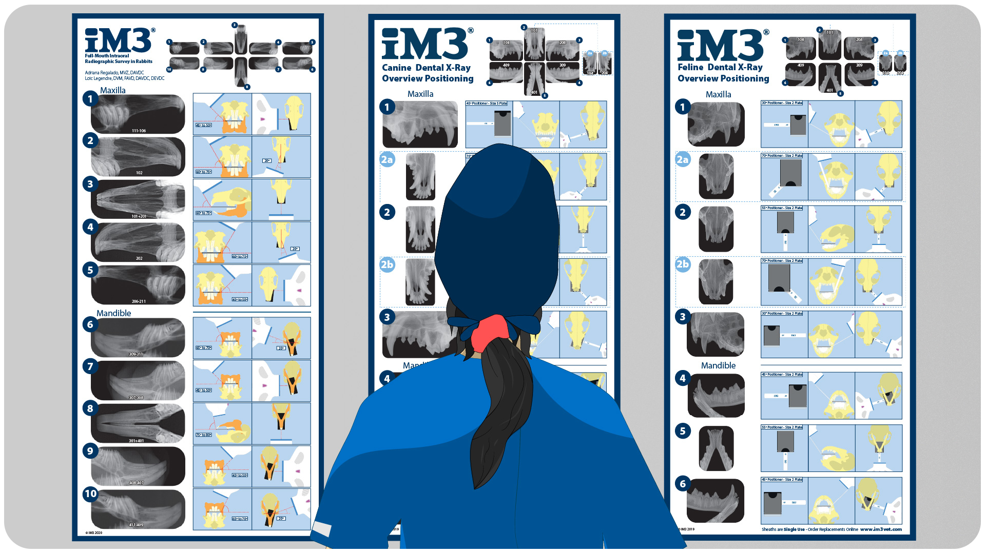 nurse with x-ray positioning help