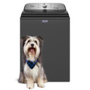 Maytag® Laveuse à chargement vertical Animal Pet Pro - 5.4 pi cu CEI MVW6500MBK Maytag® Laveuse à chargement vertical Animal Pet Pro - 5.4 pi cu CEI MVW6500MBK