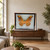Real Taxidermy Butterfly - Silk Moth displayed in a natural interior setting