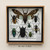 tos-useast5-i-omjb5zjo8w-tx/0e0441e995f24120a3d5836b5ed99d1f