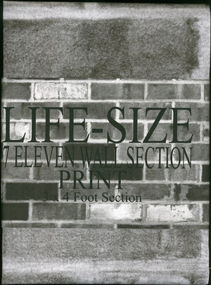 7 Eleven Wall Section